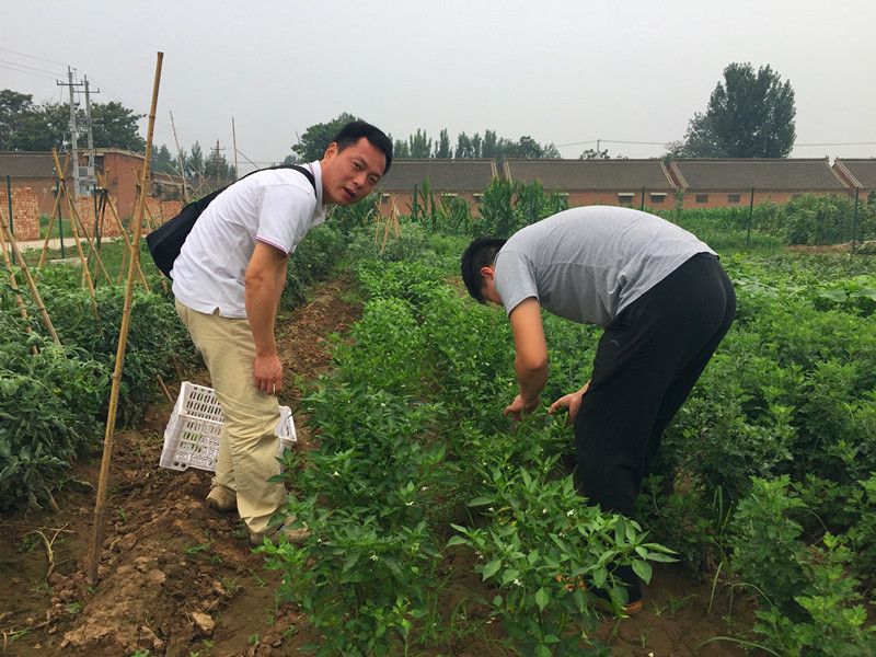 好利來郭總喊您來摘菜啦！綠色無公害，放心！